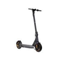Электросамокат Ninebot KickScooter Max G30P (Черный)
