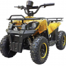 Квадроцикл GreenCamel Гоби K45 (36V 800W R6 Цепь) быстросъем, ножной тормоз