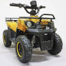 Квадроцикл GreenCamel Гоби K45 (36V 800W R6 Цепь) быстросъем, ножной тормоз