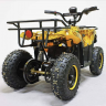 Квадроцикл GreenCamel Гоби K45 (36V 800W R6 Цепь) быстросъем, ножной тормоз