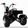 Электротрицикл IKINGI M6 PRO TRIKE