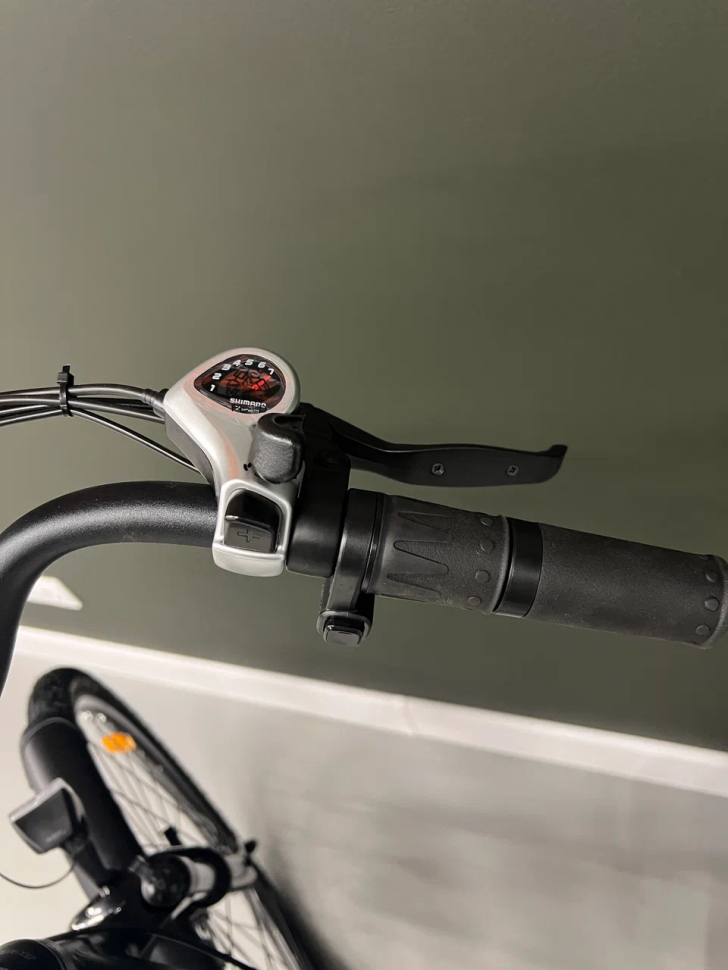 Электровелосипед Elbike GALANT BIG ELITE (C18)