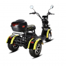 Электротрицикл SIBERTON PRO TRIKE 3000w