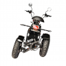 Электротрицикл Skyboard Elbrus Chopper 4000W