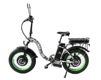 Электровелосипед Elbike TAIGA 1 Twix 2000 cam(C31T)
