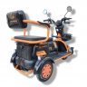 Электровелосипед Kugoo T1 Trike