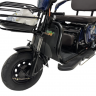 Трицикл GreenCamel Фродо SZBO (48V/60V 1000W R8) дифференциал