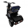 Трицикл GreenCamel Фродо SZBO (48V/60V 1000W R8) дифференциал