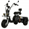 Электротрицикл IKINGI Cargo-Trike 1000W