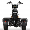 Электротрицикл IKINGI Cargo-Trike 1000W